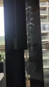 骚妻的日常